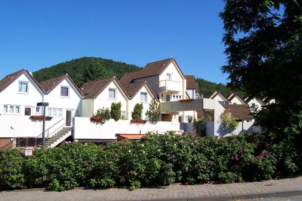 Helle 93M2 Fewo Mit 2 Schlafzimmern Am Edersee Scheid  Eksteriør billede